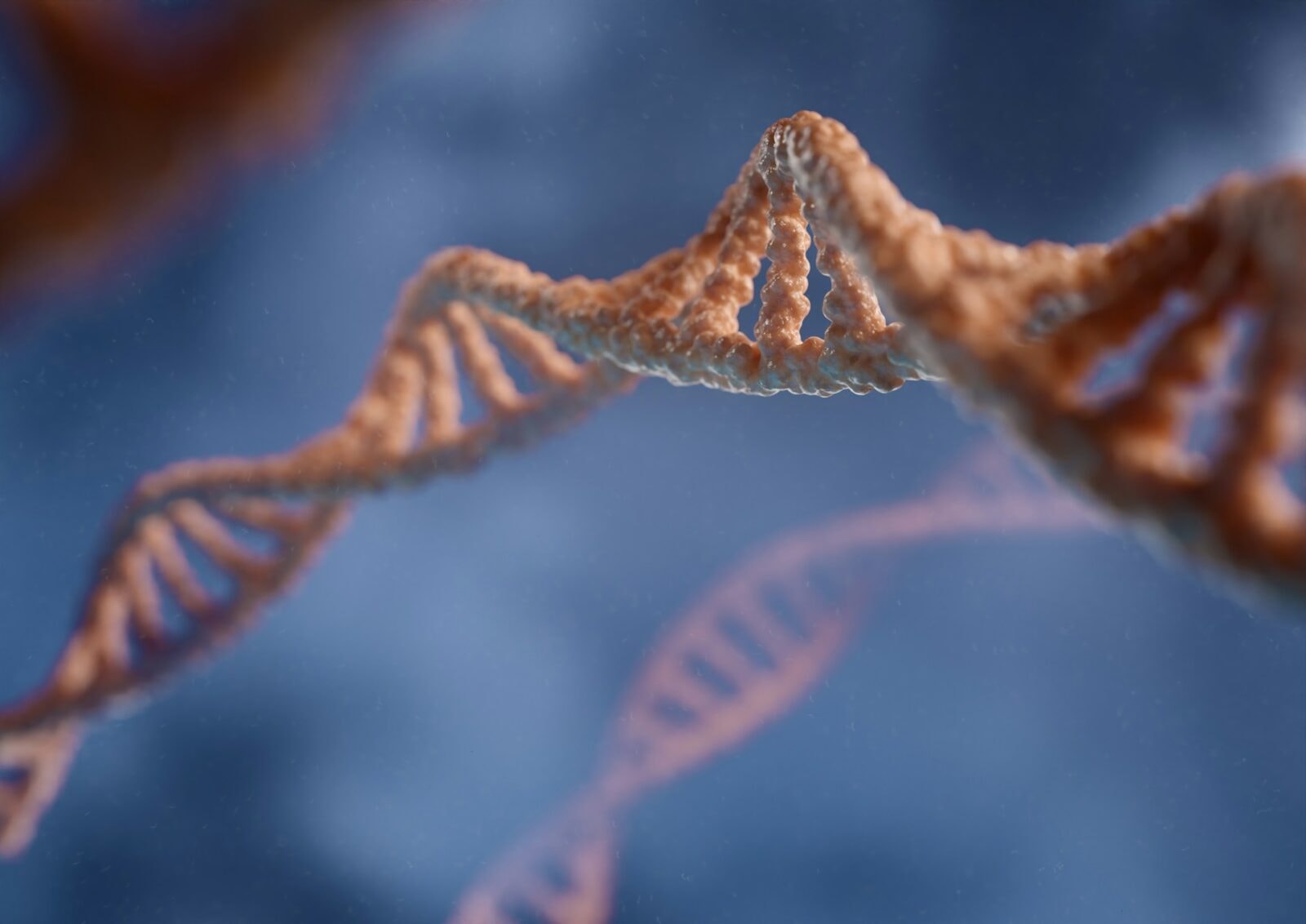 Podwójna helisa DNA &#8211; zdjęcie poglądowe /Fot. Unsplash
