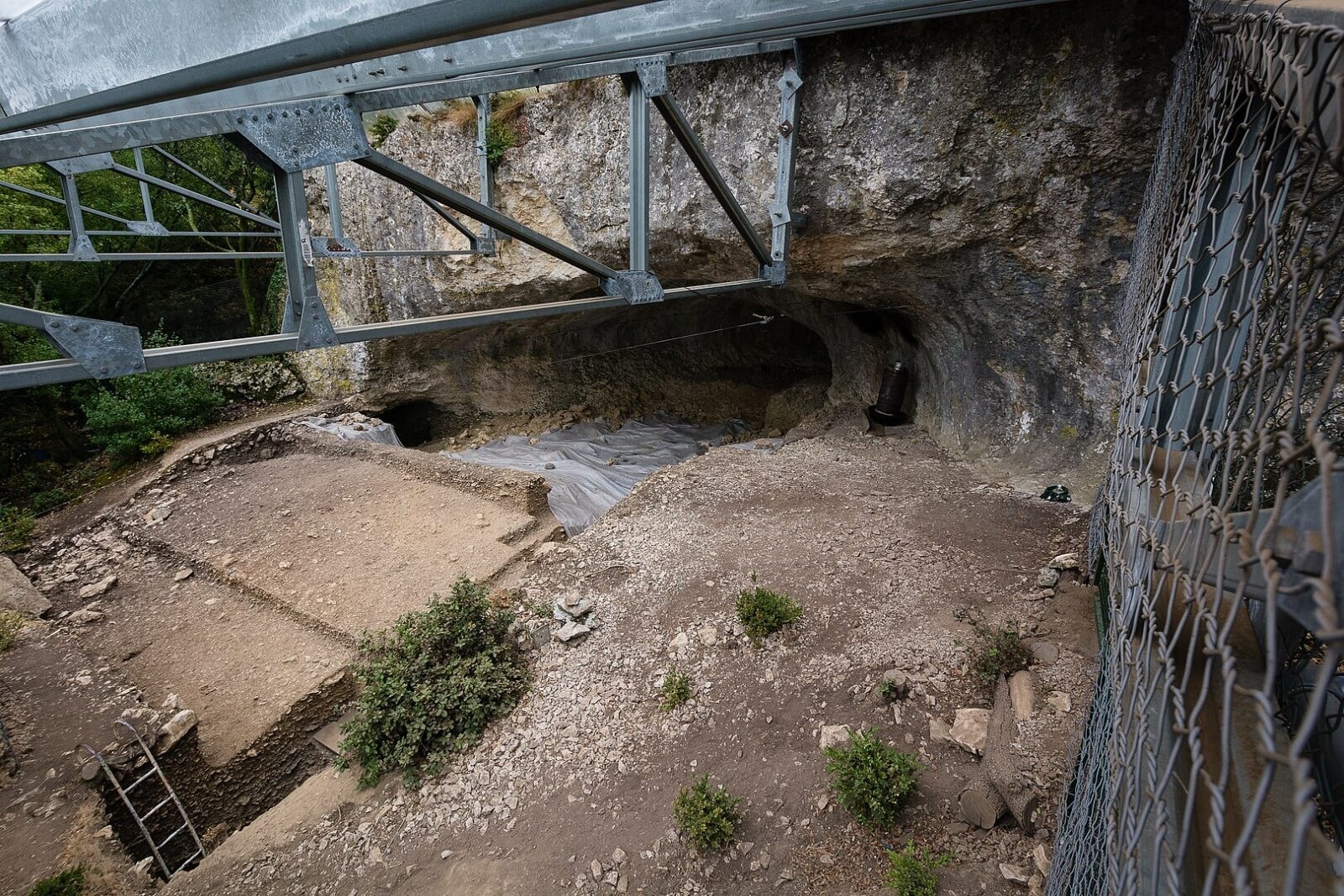 Sekwencjonowanie DNA neandertalczyka wykazało coś niebywałego. Eksperci nie mogą wyjaśnić wydarzeń sprzed tysięcy lat