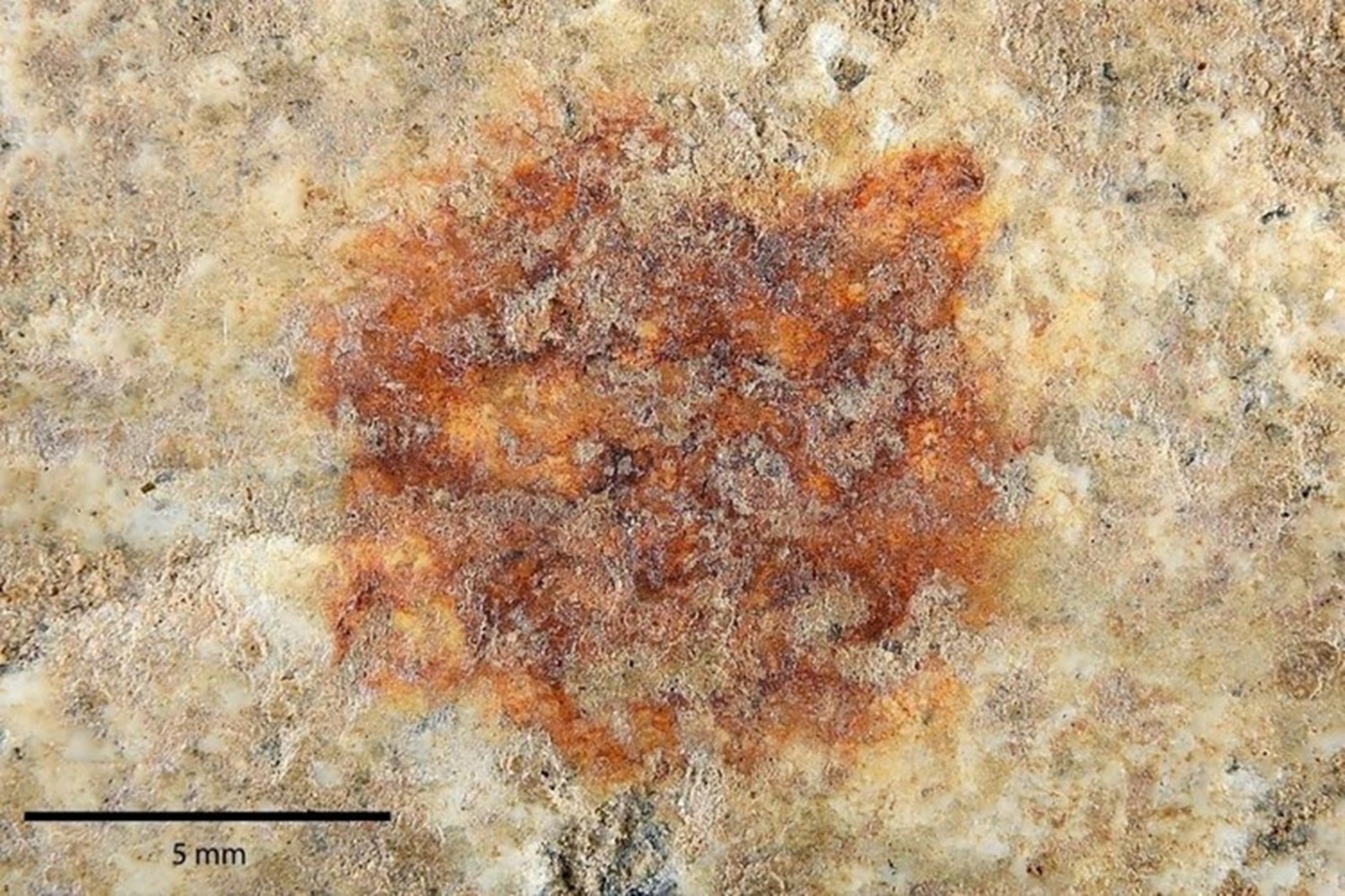 Neandertalczyk zostawił nam wiadomość sprzed 43 000 lat. Wreszcie ją odczytano