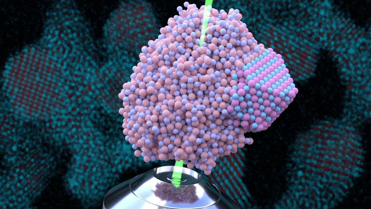 Tak formuje się zangenit /Fot. NYU
