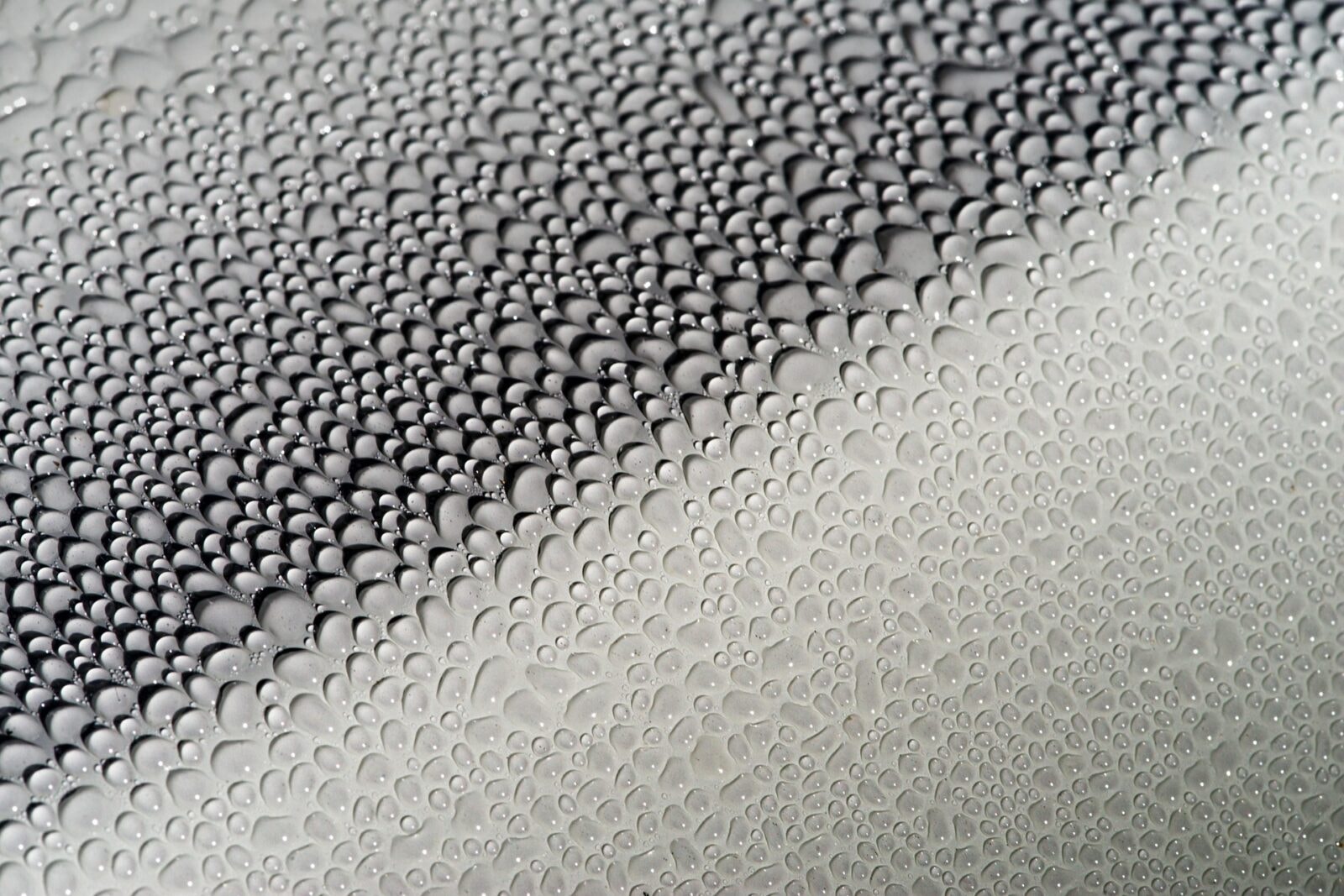 Przełomowy nanomateriał. Zbiera wodę bezpośrednio z powietrza bez użycia energii