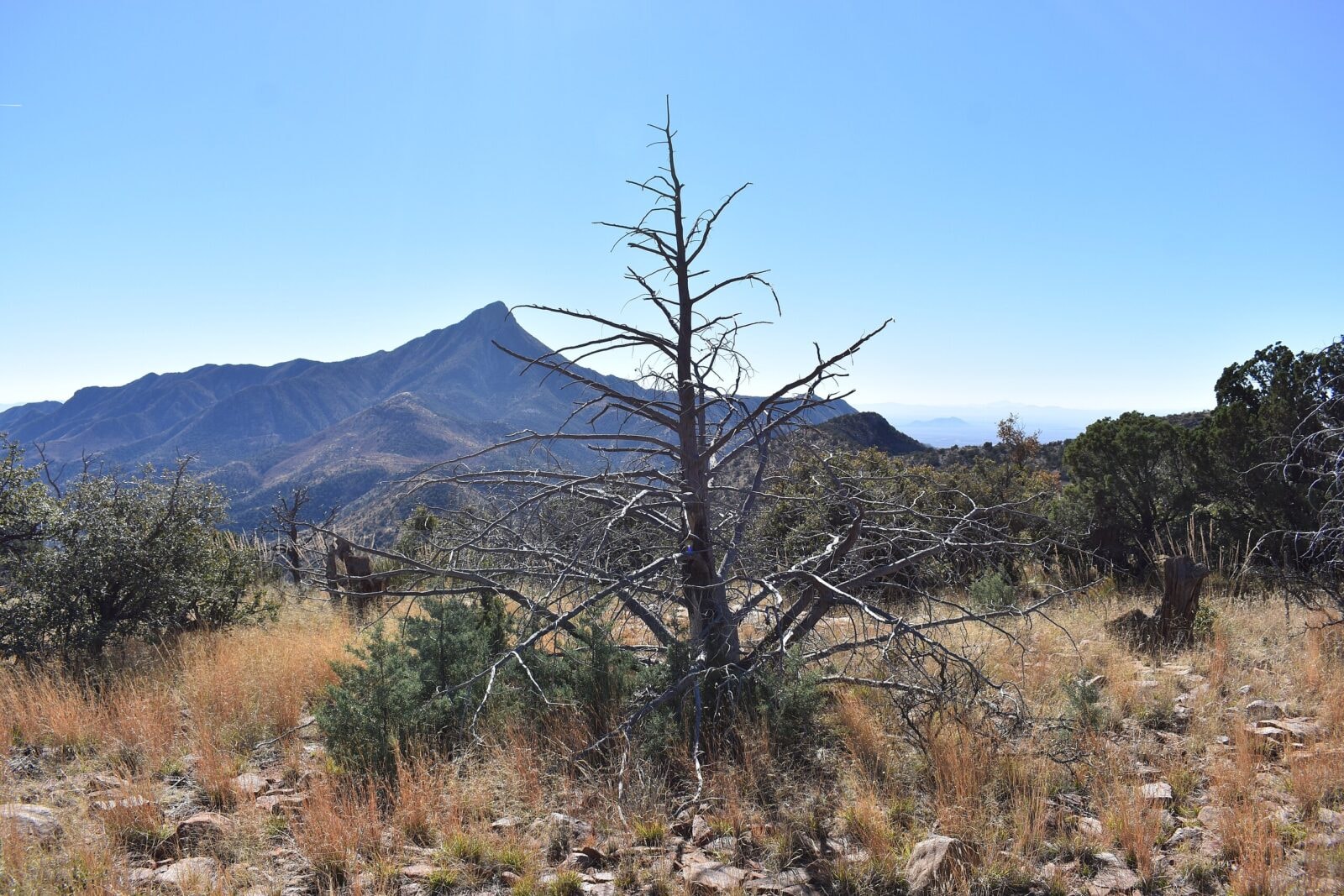 Świat nauki widzi coś takiego naprawdę rzadko. Odkryli trzy nowe minerały!