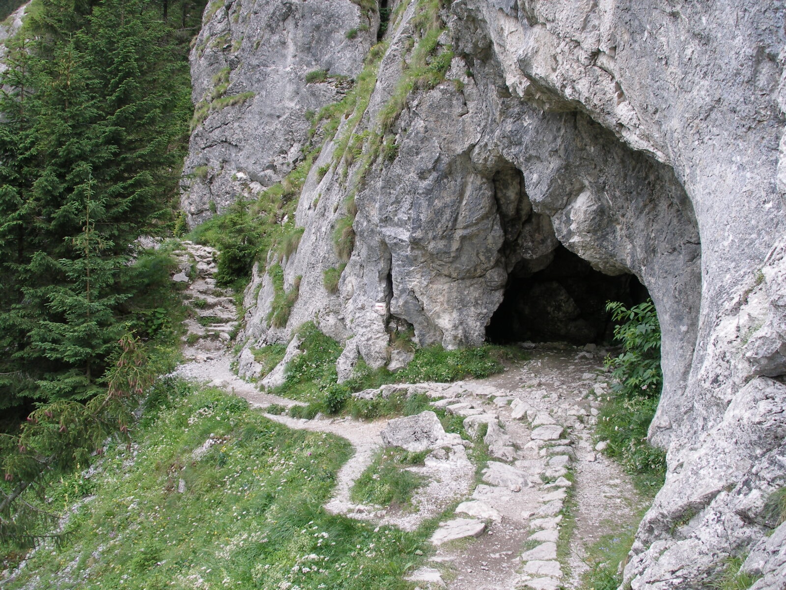 W Polsce spoczywał rekordowo stary bumerang. Archeologiczna sensacja na światową skalę! 