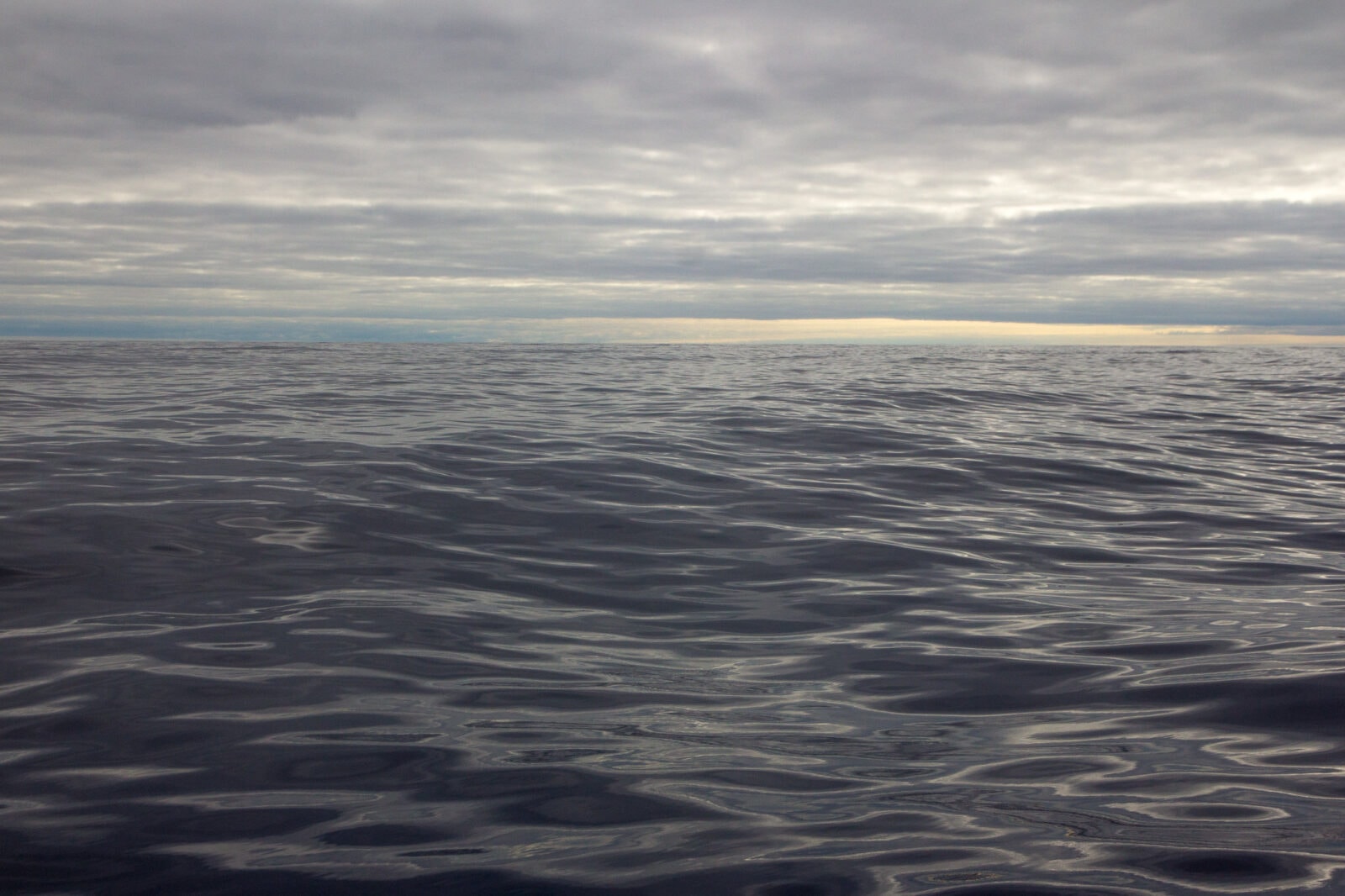 Tajemnicze fale pod dnem Atlantyku. Mają setki metrów wysokości i miliony lat