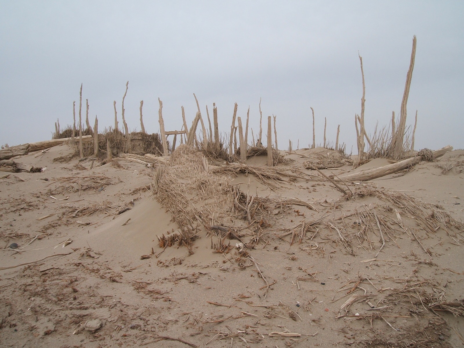Łodzie na środku pustyni zawierają ludzkie szczątki. Nikt się tego nie spodziewał