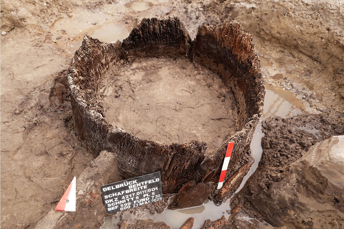 400 artefaktów i tajemniczy pochówek wojownika w zachodnich Niemczech. Historia pisze nowy rozdział