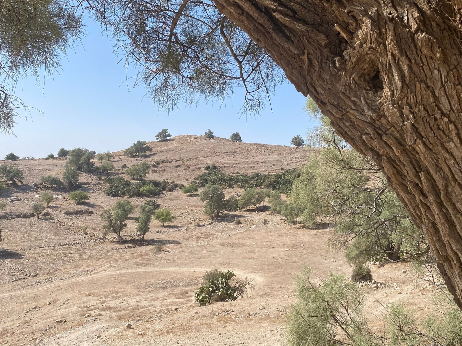 Archeolodzy odnaleźli pozostałości po dziwnym rytuale. Pochodzą z epoki brązu