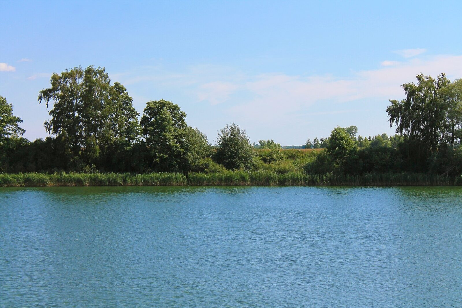 Odnaleźli 1000-letnią twarz w polskim jeziorze. Sensacja w Wielkopolsce