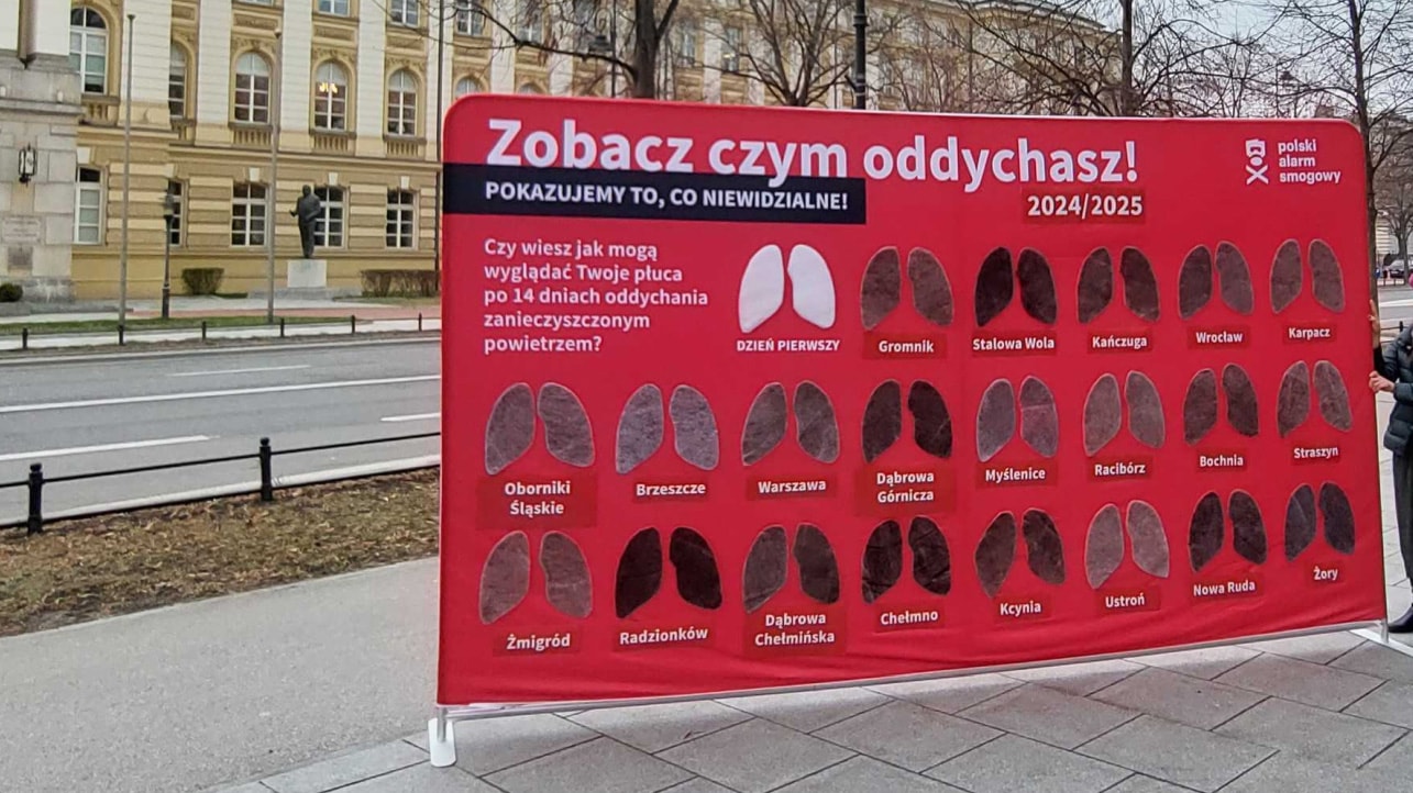 Protest Polskiego Alarmu Smogowego w Warszawie.
