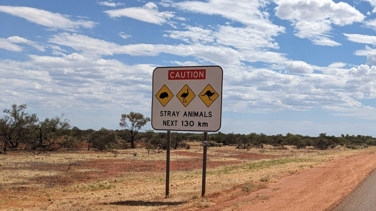 ostrzeżenie przed dzikimi zwierzętami przy drodze w Australii