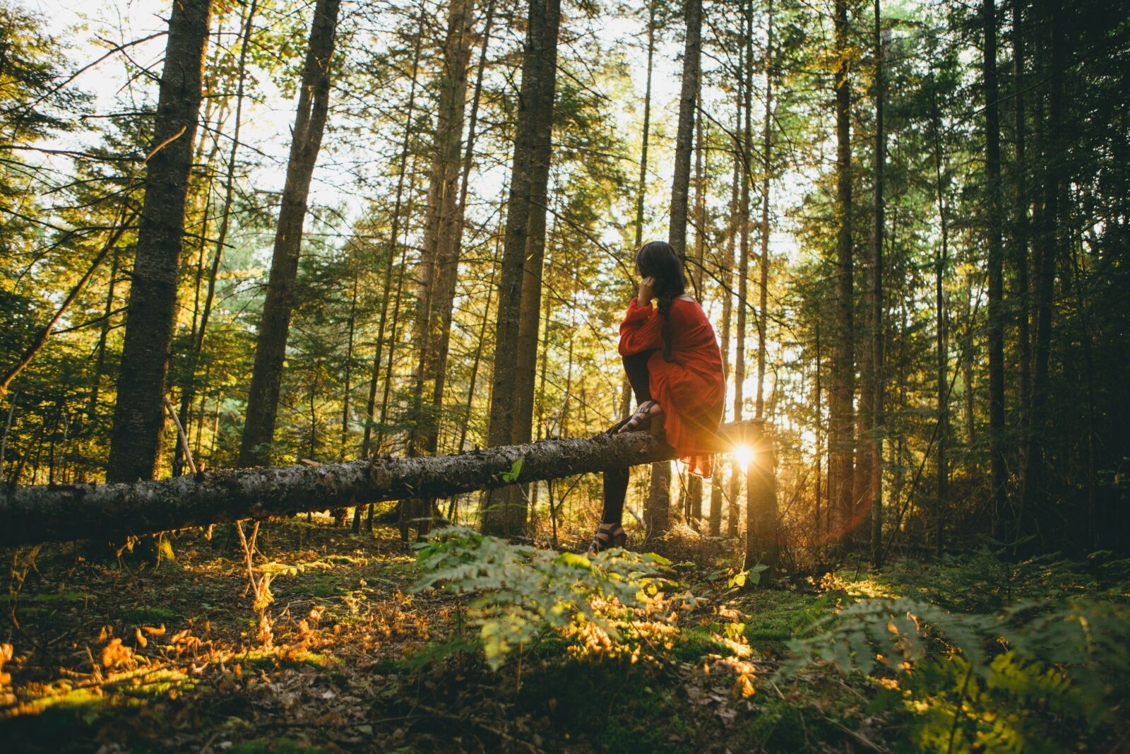 lasy miejskie mają fenomenalny wpływ na zdrowie psychiczne