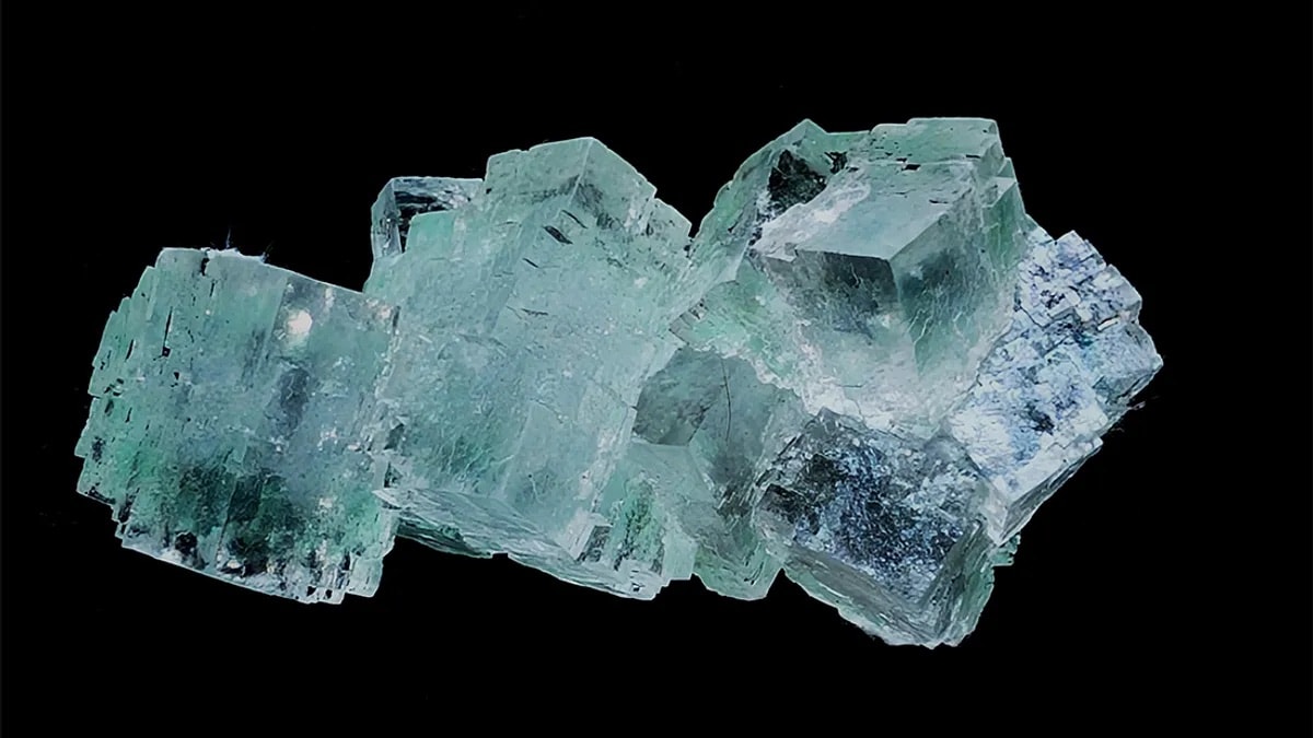 Źródło: Jirik V/Shutterstock.com
