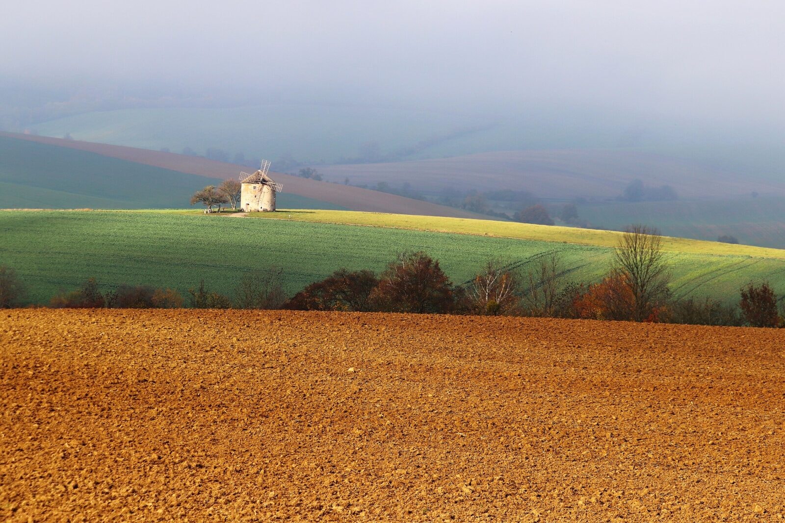 Tajemniczy pochówek zawierał prehistoryczne szczątki. Naukowcy przywrócili je do życia
