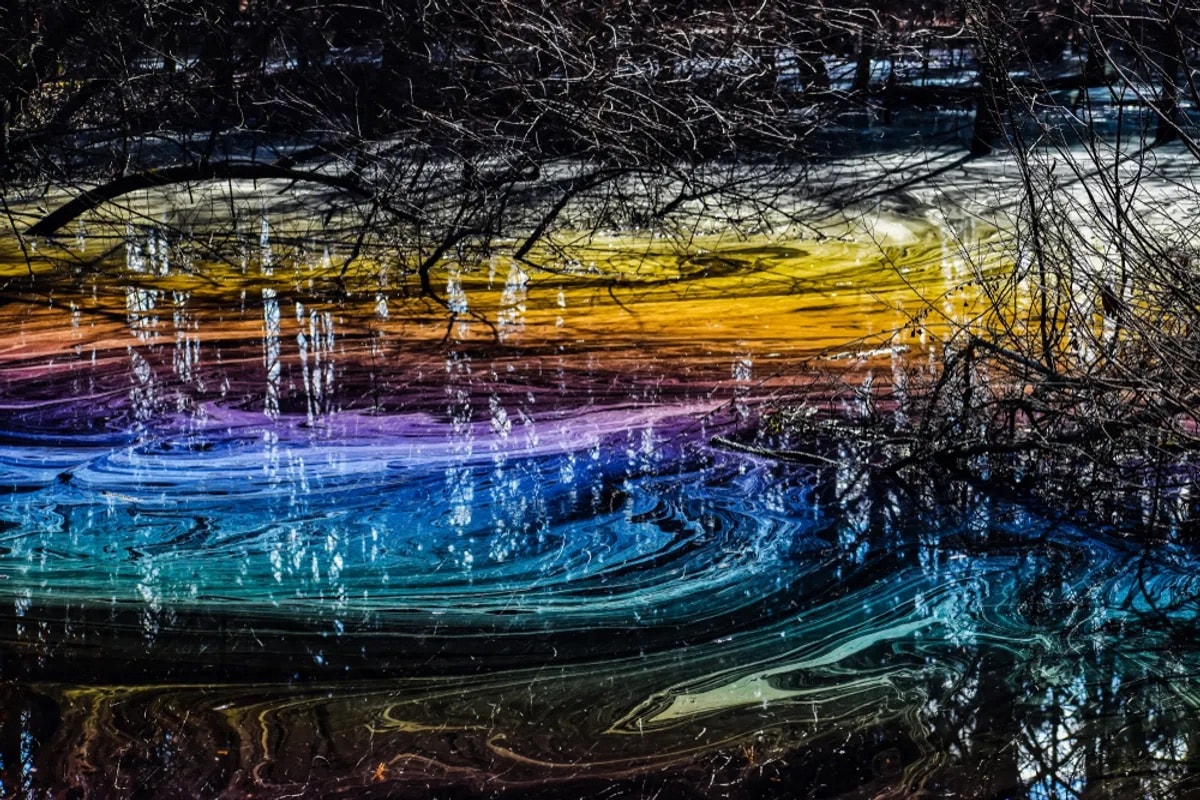 Tęczowe bagno w Wirginii. Naturalne zjawisko, które podbija internet