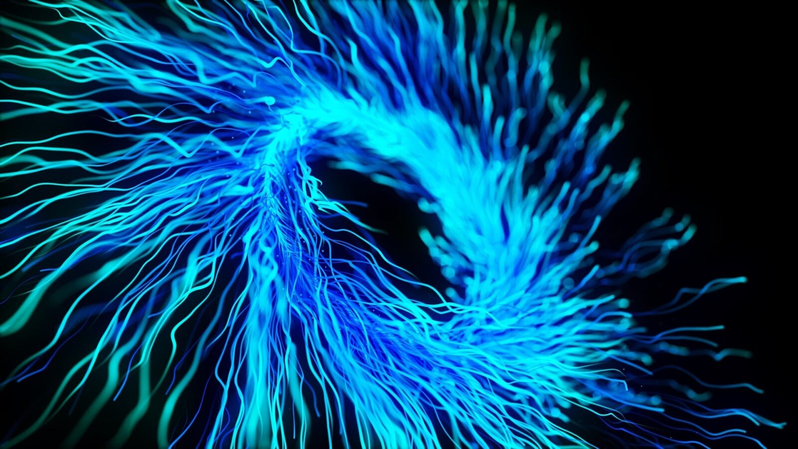 Wortiony. Magnetyczna rewolucja, która może zmienić elektronikę