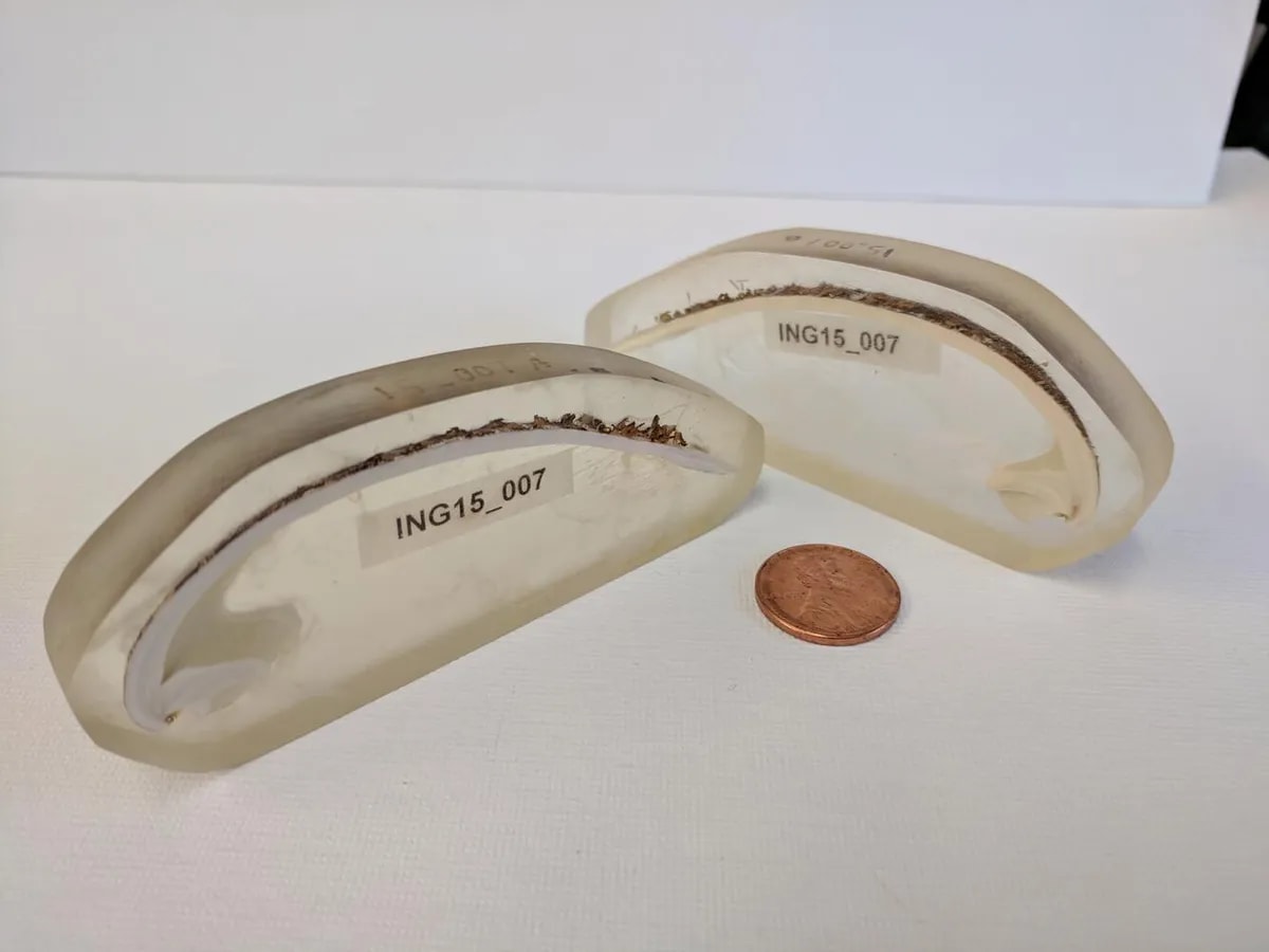 fot. Madelyn Mette/USGS
