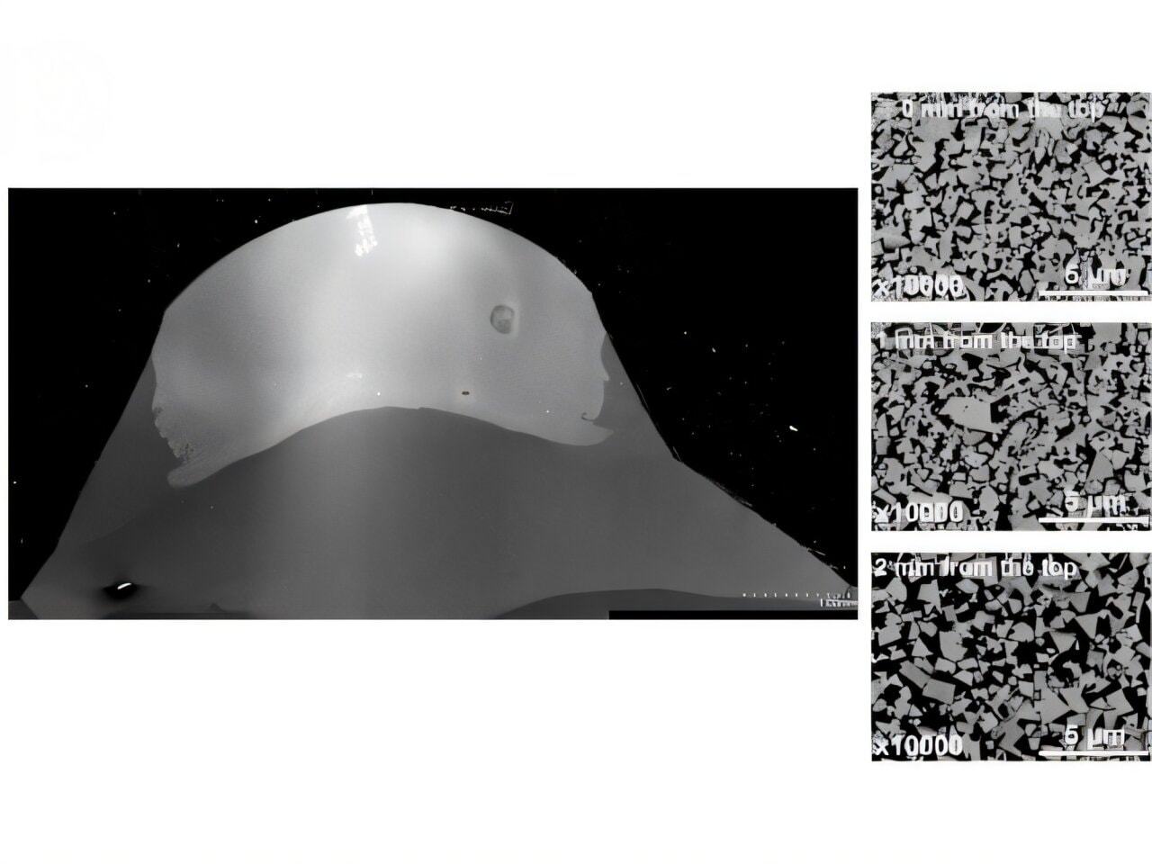 fot. Keita Marumoto/Hiroshima University
