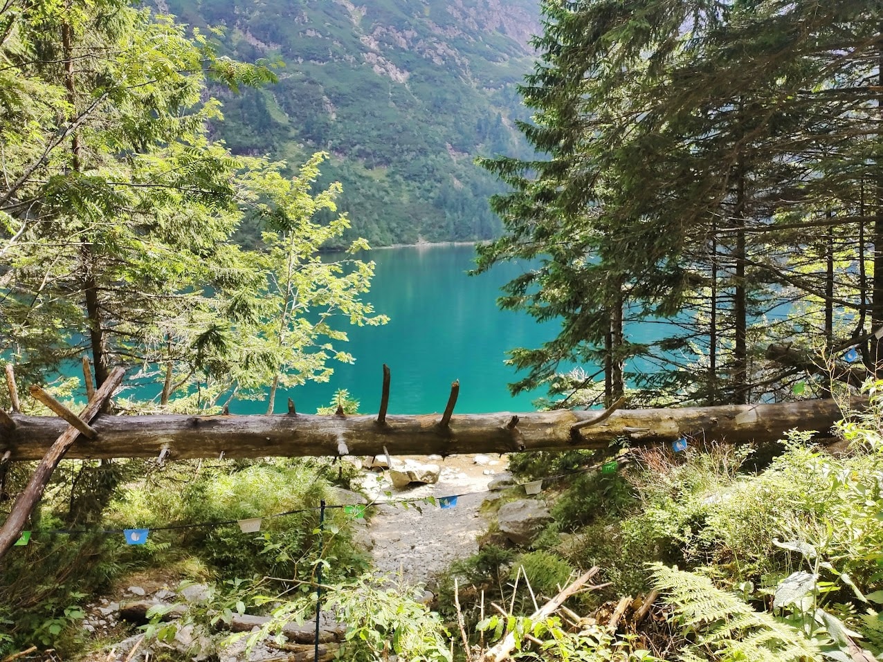 Coś niesamowitego wydarzyło się w polskich górach. Najnowsze badanie Tatr przynosi ważną lekcję
