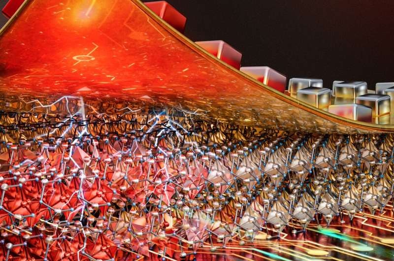 fot. Duke University
