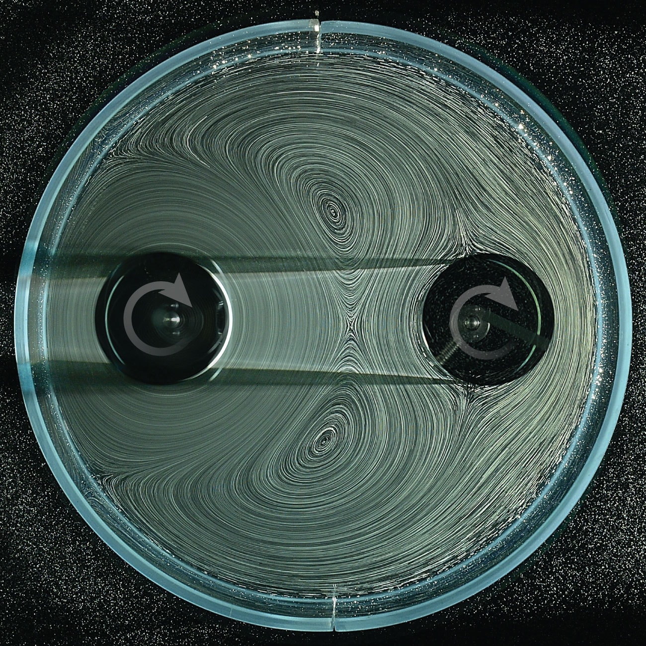 fot. NYU’s Applied Mathematics Laboratory
