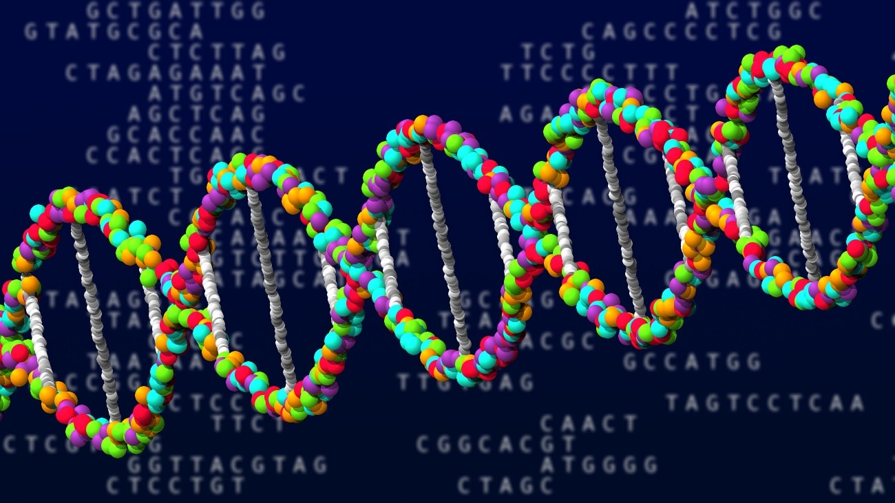Nieznana wcześniej linia genetyczna przetrwała tam tysiące lat. Istniała do końca epoki lodowej
