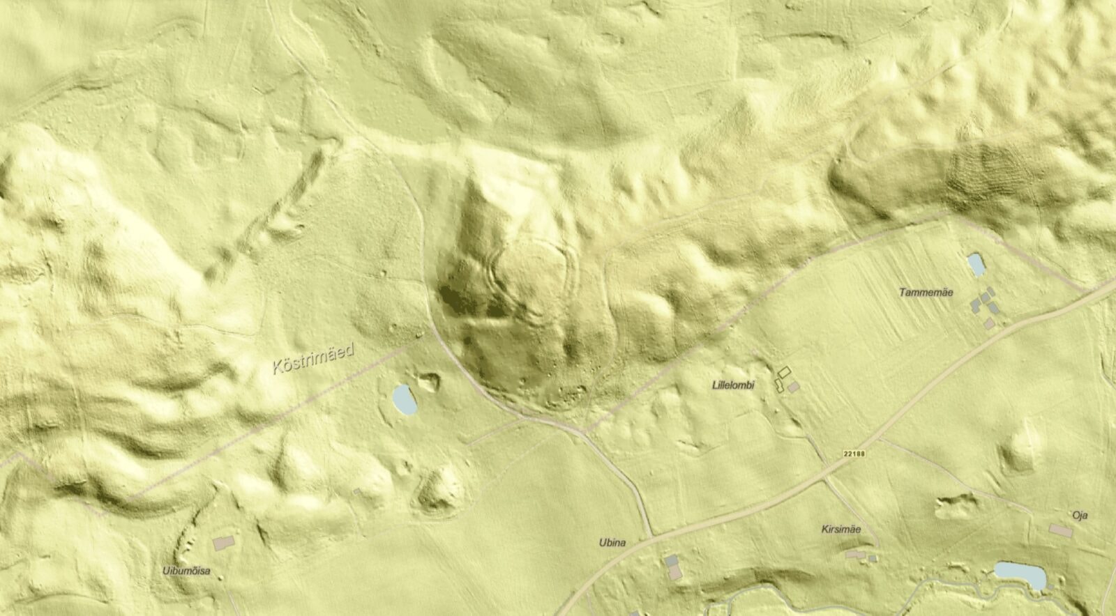 Budowla, jakich w tej części Europy prawie nie było. Wykopaliska w Estonii odsłoniły starożytną strategię obronną 