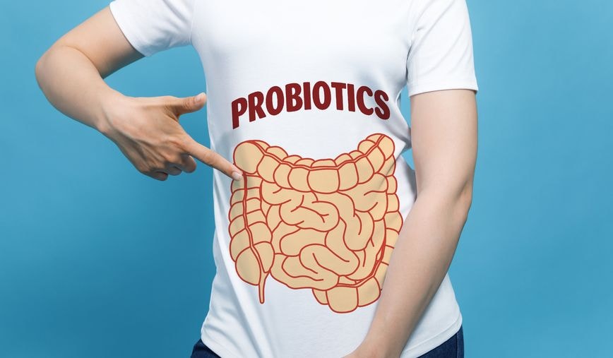 Ludzkie organoidy jelitowe wszczepiono do organizmu myszy. Prawdziwe “cuda” zaczęły się potem