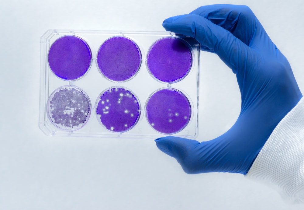 Cyfrowe DNA: możemy je tworzyć, nadpisywać. Czy to dobrze?