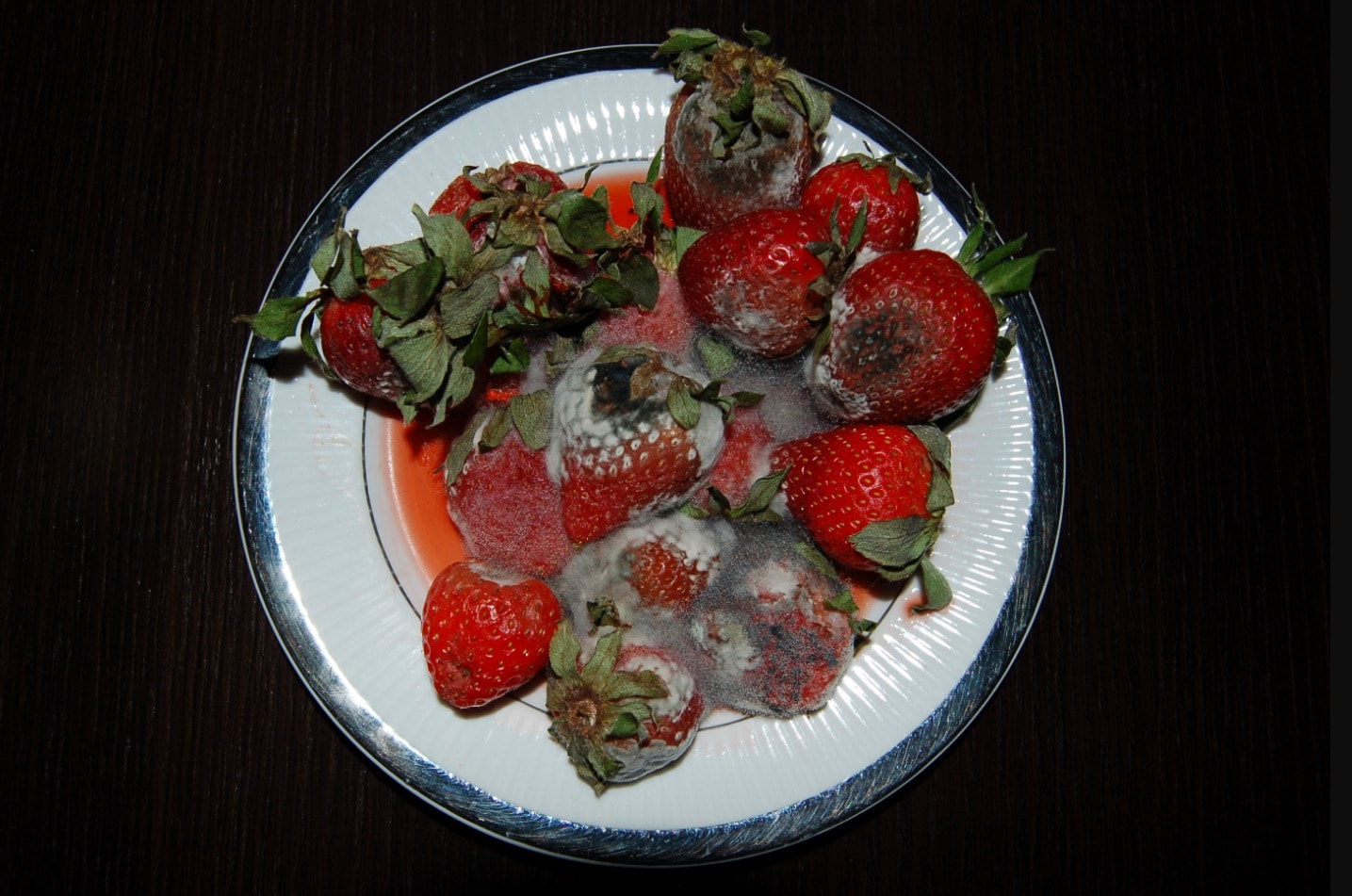 Co cię obrzydza? Naukowcy zebrali galerię obrzydliwości i udowodnili, że odraza nam służy