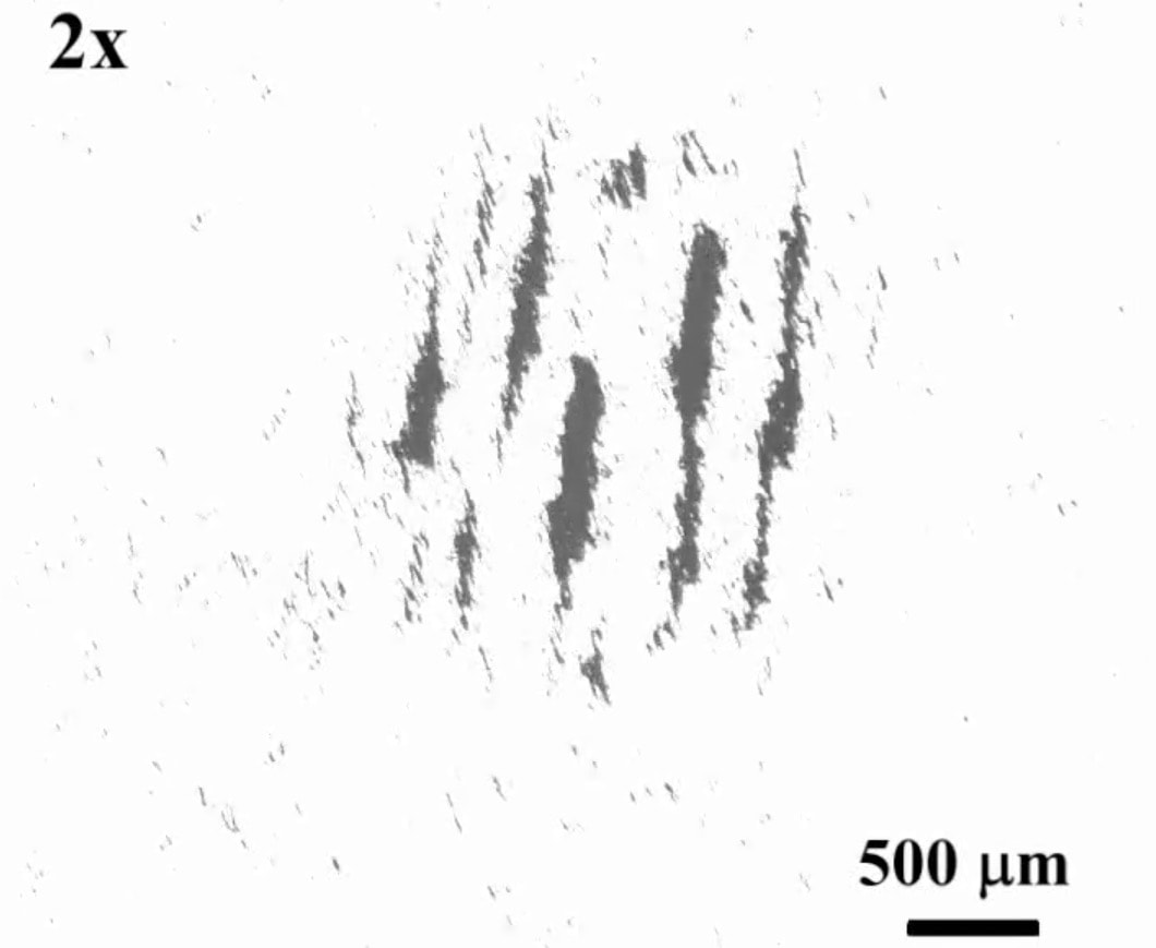 Rój nanorobotów. Przełomowa technologia, która daje nadzieję i budzi obawy [WIDEO]