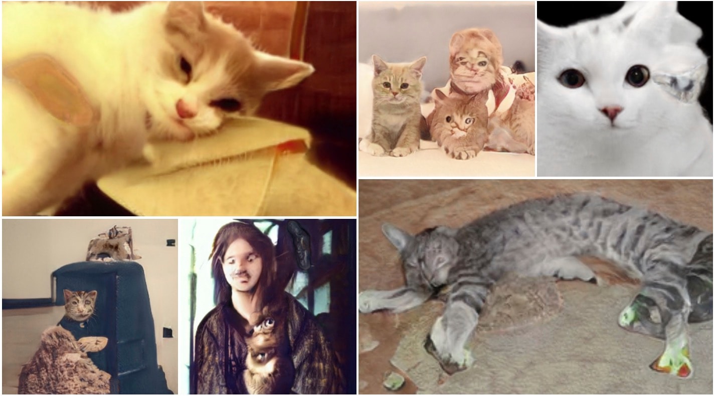 Koty pokonały sztuczną inteligencję. Łatwiej stworzyć cyfrowego człowieka niż zwierzę [GALERIA]