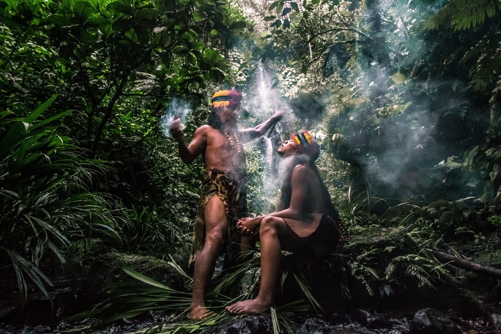 Psychodeliczny napój może rozwiązać najtrudniejszy konflikt na Bliskim Wschodzie