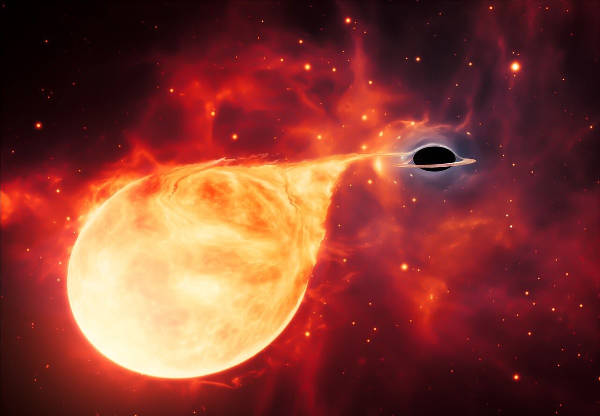 “Głodna” czarna dziura może być brakującym ogniwem ewolucji kosmosu