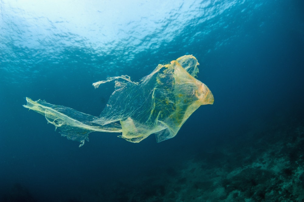 Kanada wprowadza zakaz jednorazowych produktów z plastiku