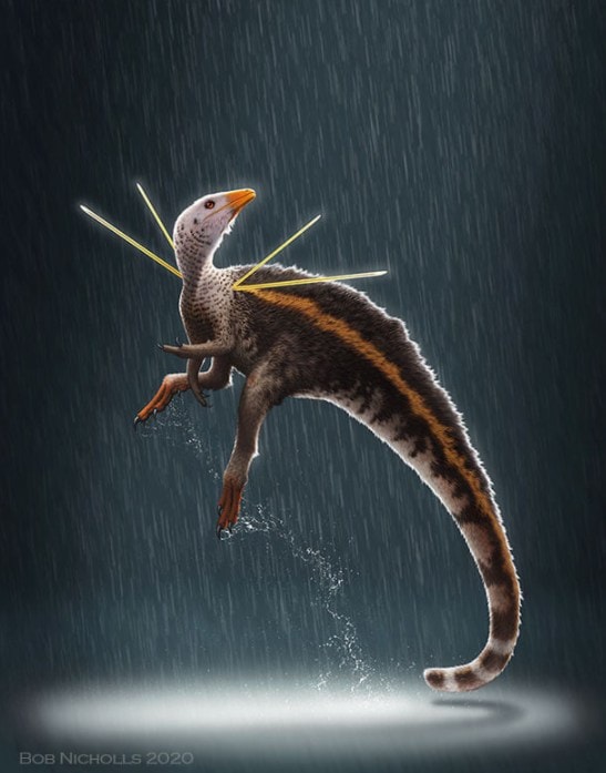 “Nic podobnego jeszcze w naturze nie widzieliśmy”. Odkryto najbardziej imponującego dinozaura w historii