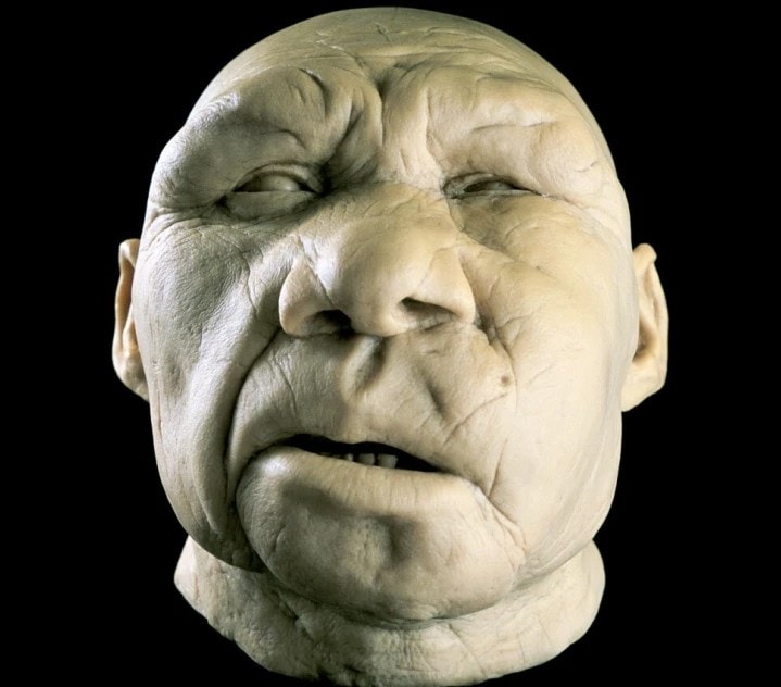 Praludzie mogli posiadać zdolność zimowej hibernacji