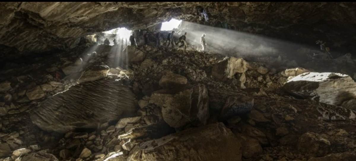 Naukowcy po raz pierwszy zrekonstruowali DNA pradawnego niedźwiedzia tylko z próbek gleby