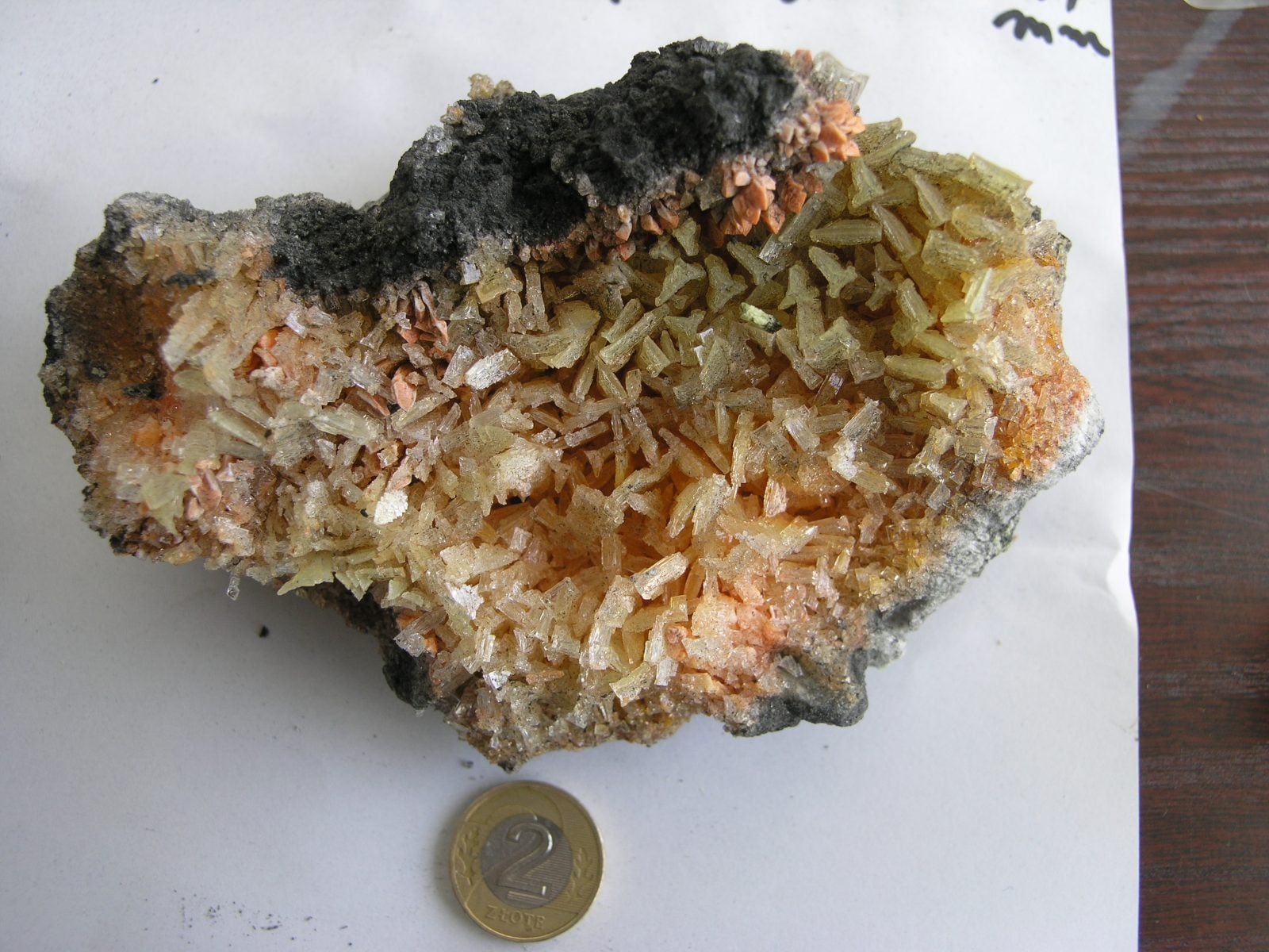 Grubokrystaliczny okaz salmiaku, którego pomarańczową barwę nadają inkluzje nowego minerału o unikalnej kombinacji chemicznej – jest to jodobizmutan, prawdopodobnie amonowy (badania w toku); hałda KWK “Marcel” w Radlinie (Rybnicki Okręg Węglowy) / fot. Łukasz Kruszewski