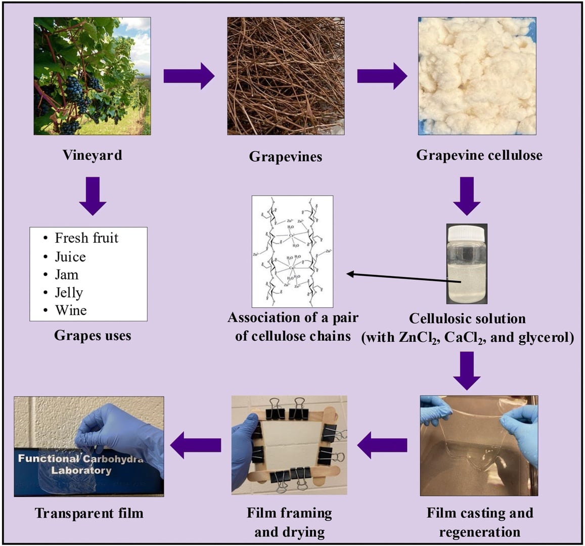proces produkcji zamiennika plastiku z winorosli