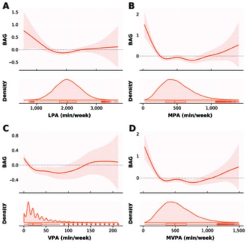 aktywność fizyczna i mózg