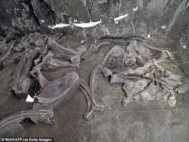szczatki-mamutow-znaleziono-w-dnie-wyschnietego-jeziora-fot-inaf