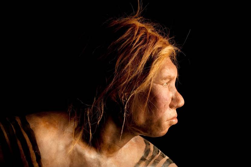 kobieta-neandertalczyka