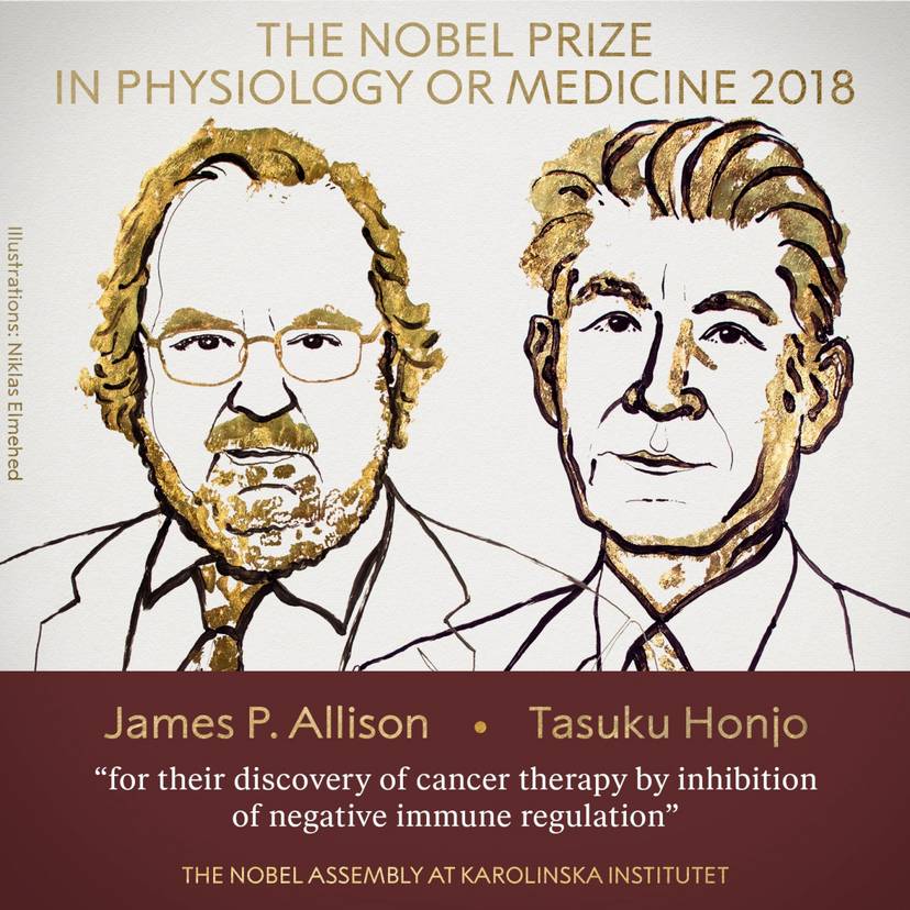 nagrody-nobla-2018-fizjologia-lub-medycyna