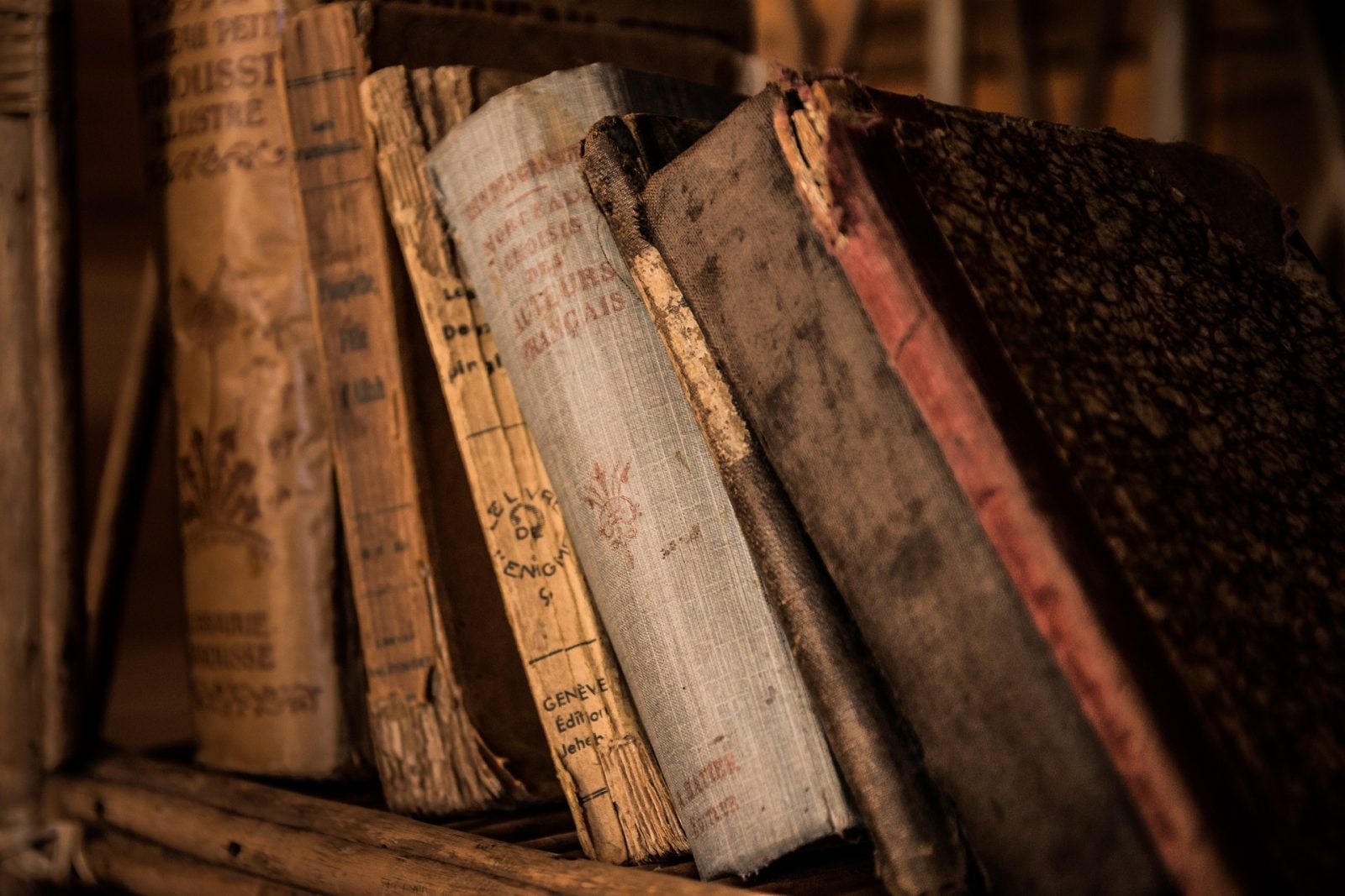 Biblioteka Aleksandryjska – tajemnica nieodkrytych zbiorów. Czemu została zniszczona i jak wygląda obecnie?