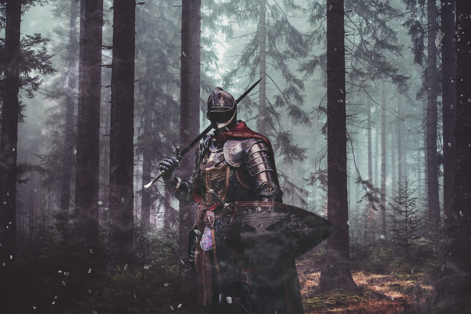 Średniowieczni rycerze jeździli na… kucykach? Konie bojowe były o wiele mniejsze, niż sądzimy