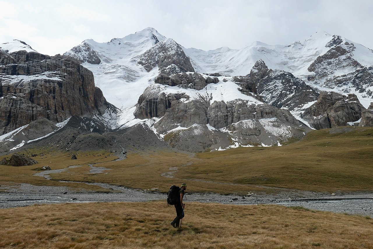 źródło: Wikimedia Commons / Bruno Rijsman / CCA-SA_2.0