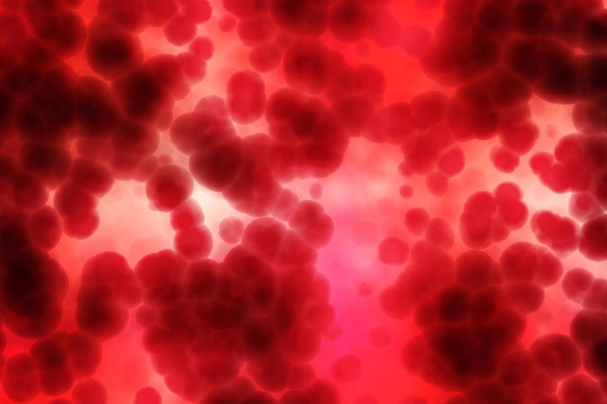 Wkrótce czeka nas koniec z hemofilią? /Fot. Pixabay
