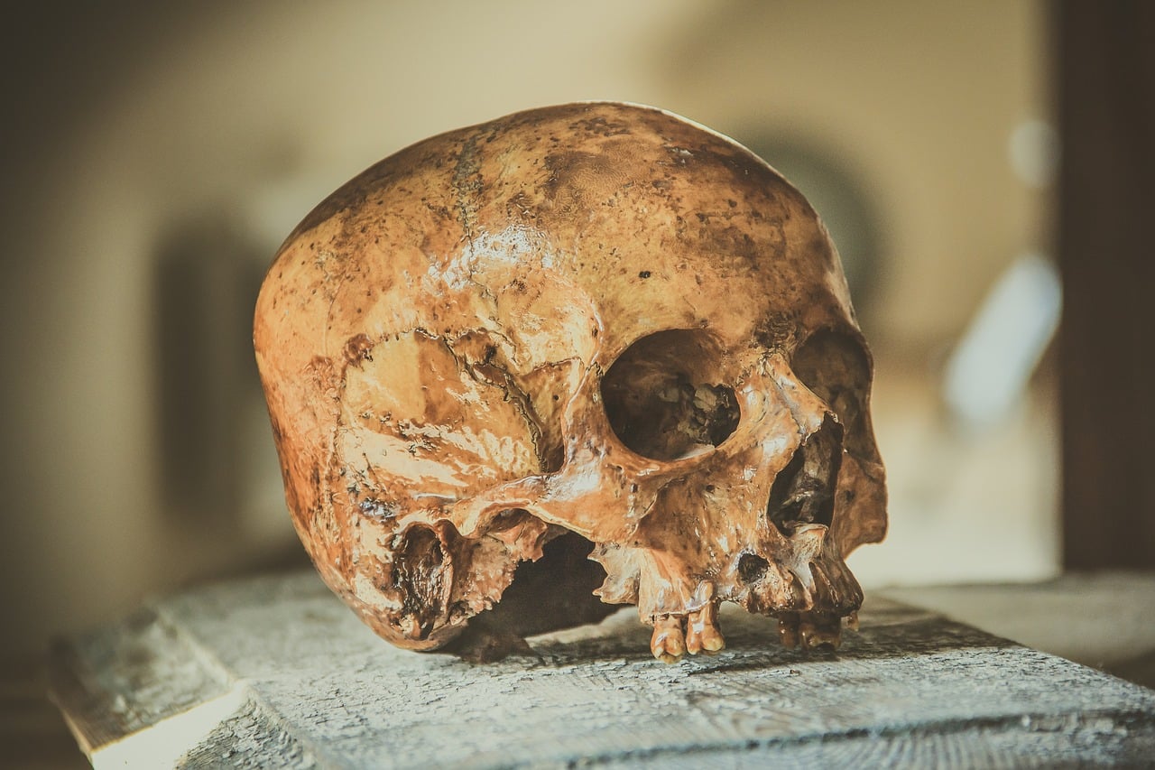 Ewolucja człowieka jednak nadal pełna nieścisłości. Badacze wytknęli poważne błędy