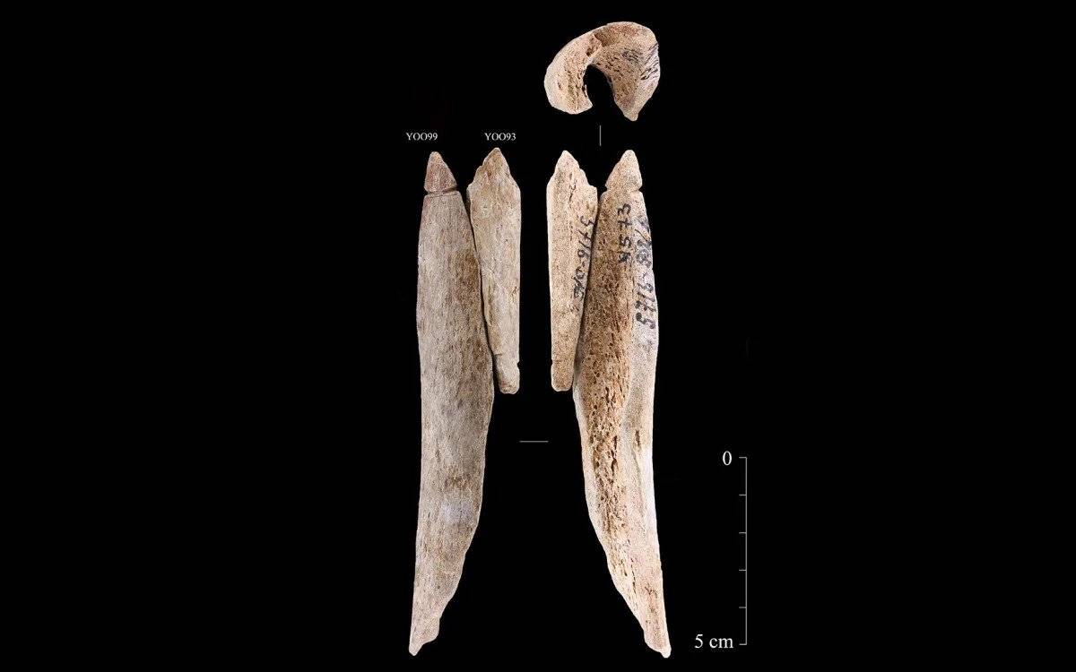 Wisiorki z ludzkich kości. Naukowcy na tropie kanibali sprzed tysięcy lat