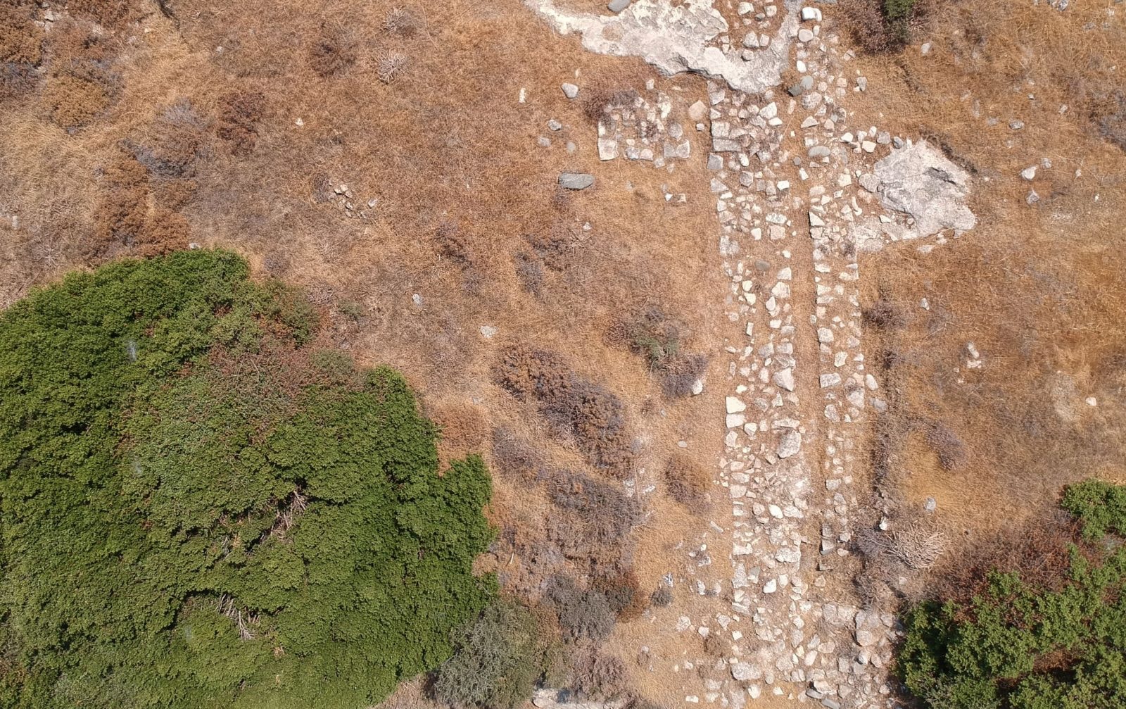 Mur otaczający osadę / fot. materiały prasowe UKSW / uksw.edu.pl